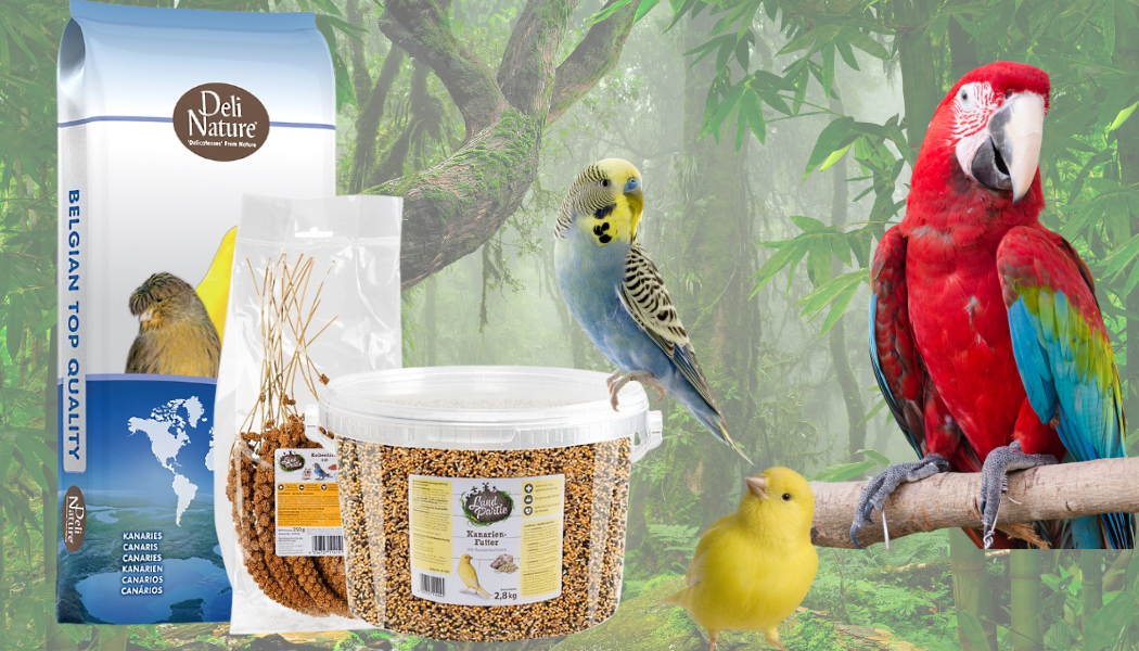 Futter für Ziervögel – hochwertiges Ziervogelfutter