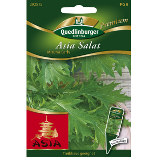 Quedlinburger Asia Salat Mizuna Early