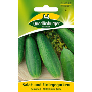 Quedlinburger Salat- Einlegegurken Delikateß