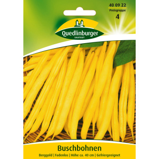 Quedlinburger Buschbohnen Berggold