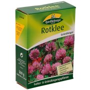 Quedlinburger Rotklee FS 500g