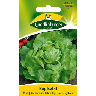Quedlinburger Kopfsalat Muck