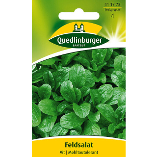 Quedlinburger Feldsalat Vit mehltautolerant