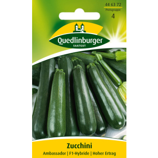 Quedlinburger Zucchini Ambassador