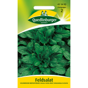 Quedlinburger Feldsalat Holländischer...