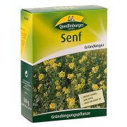 Quedlinburger Senf FS 500g