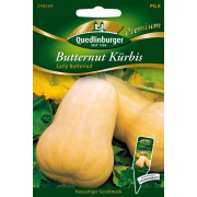 Quedlinburger Butternut Kürbis Early Buttern