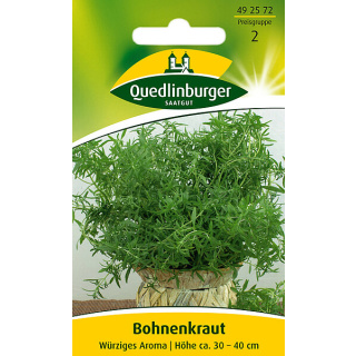 Quedlinburger Bohnenkraut