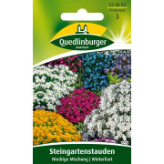Quedlinburger Steingartenstauden Niedrige