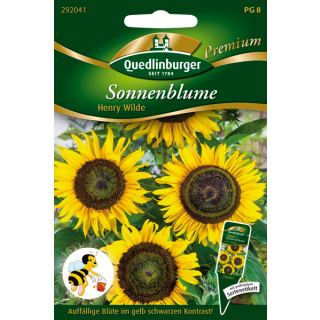 Quedlinburger Sonnenblumen Henry Wilde