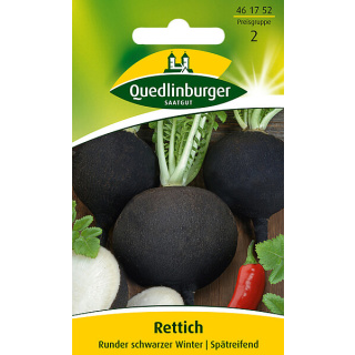 Quedlinburger Rettich Runder schwarzer