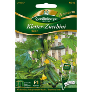 Quedlinburger Kletter Zucchini Quine