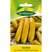 Quedlinburger Zucchini gelb Atena Polka