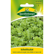 Quedlinburger Schnittsalat Verde ricciolina da taglio