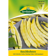 Quedlinburger Buschbohnen Odir