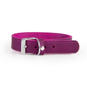 Das Lederband Hundehalsband Weinheim violett