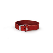Das Lederband Hundehalsband Weinheim rot