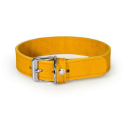Das Lederband Hundehalsband Weinheim gelb