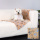 Trixie Hundedecke Laslo beige 150x100cm