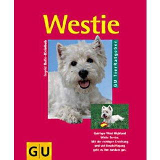 Westie: Quirliger West Highland White Terrier