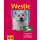 Westie: Quirliger West Highland White Terrier