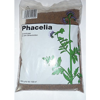 Phacelia Samen 500g